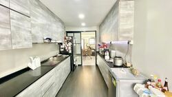 Blk 448 Tampines Street 42 (Tampines), HDB 4 Rooms #568143221
